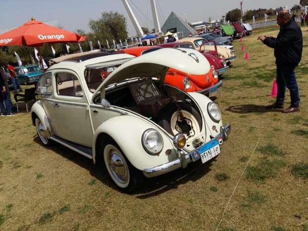 2019-04-03 Egypt Cairo Classic Cars and Vehicles Meetup - VW Beetle MSN
