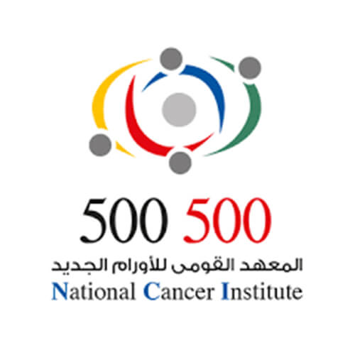 2019-05-23 500 500 Cancer Hospital serving patients in Egypt for free logo